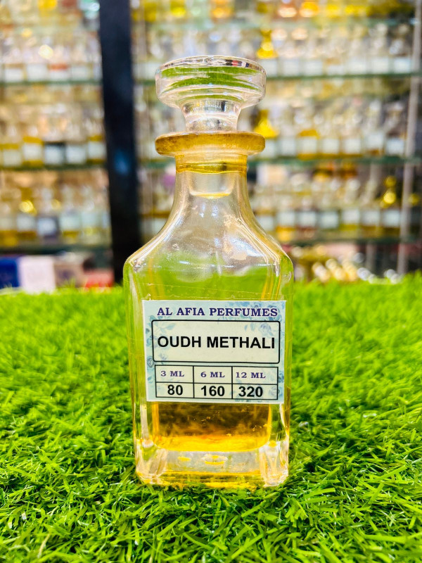 OUDH METHALI AP